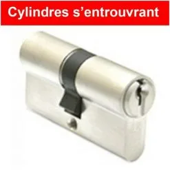 IFAM Cylindres Utilisant Les Mêmes Clés (s'entrouvrant) F5S Haute Qualité (3 Clés) - Dimensions: 30 X 30 Mm