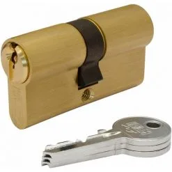 E3/87610 CYLINDRE F5S3030L LAITON 60mm (30+30mm) CAME LONGUE 15mm. AVEC 3 CLÉS SERRETTE. IFAM