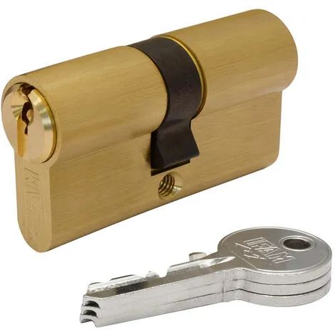 E3/87614 CYLINDRE F5S3535L LAITON 70mm (35+35mm) CAME LONGUE 15mm. AVEC 3 CLÉS SERRETTE. IFAM 1 E3/87614 CYLINDRE F5S3535L LAITON 70mm (35+35mm) CAME LONGUE 15mm. AVEC 3 CLÉS SERRETTE. IFAM