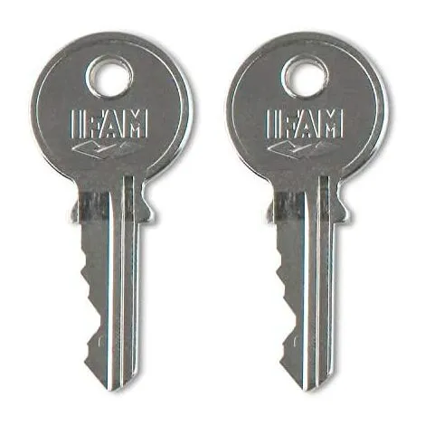 Cadenas K50al. Laiton. 50mm. Avec 2 Clés. Arc Long. Ifam 4 Cadenas K50al. Laiton. 50mm. Avec 2 Clés. Arc Long. Ifam – Image 4